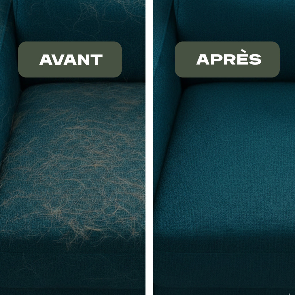 Gants Anti-Poils Réutilisables Pour Chiens et Chats - Nettoyage facile et rapide